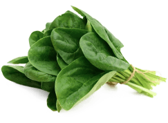 R-Alpha Lipoic Acid (R-ALA)