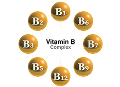 Vitamin B-Complex